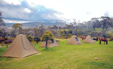 Australia-NSW-Kosciuzsko Park Getaway